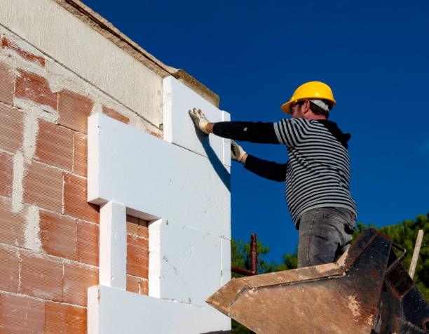Best Insulation Installation Services in Toona, AL