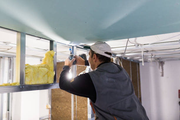 Best Residential Insulation in Toona, AL