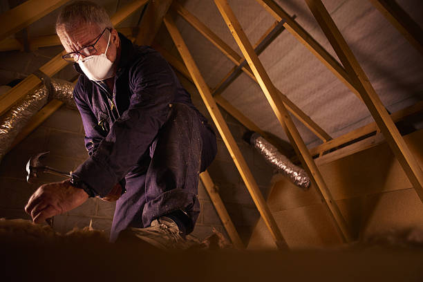 Best Specialty Insulation in Toona, AL